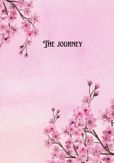 The journey