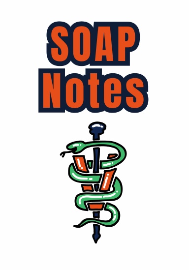 Small Animal SOAP Notebook - Auburn