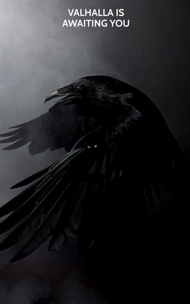 There is something outside