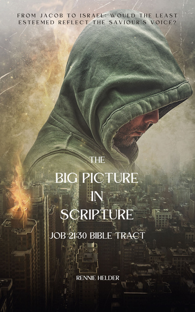 The Big Picture in Scripture Job 21:30 Bible Tract