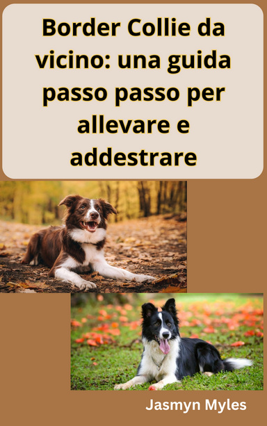 Border Collie da vicino: una guida passo passo per allevare e addestrare