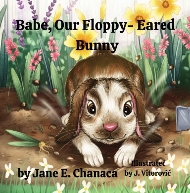 Babe, Our Floppy-Eared Bunny