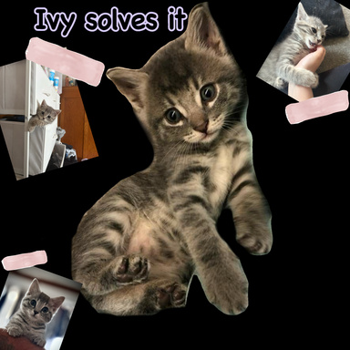 Ivy solves it