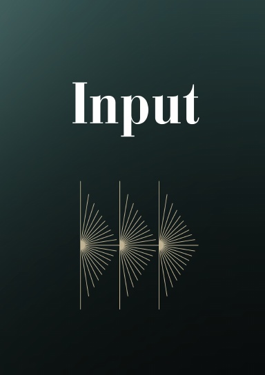 Input - Blank