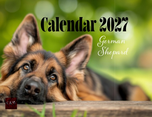 German Shepard