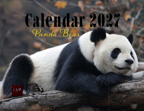 Panda Bear