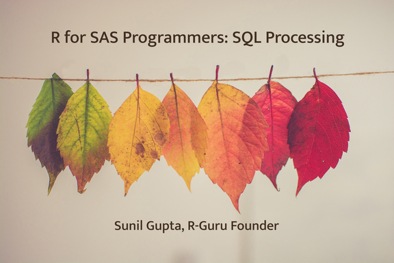 R for SAS Programmers: SQL Processing