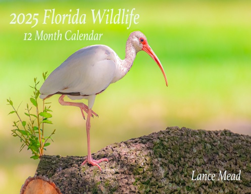 2025 Florida Wildlife Calendar