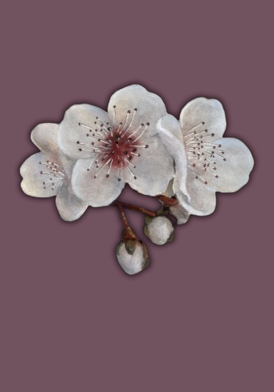 Notebook Journal - Cherry Blossom