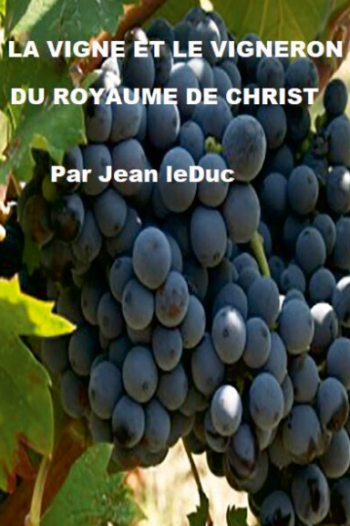 LA VIGNE ET LE VIGNERON DU ROYAUME DE CHRIST