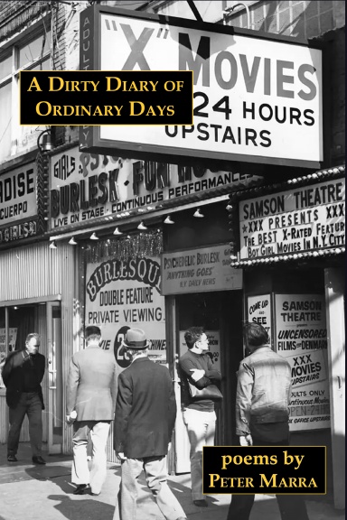 A Dirty Diary of Ordinary Days