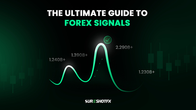 The Ultimate Guide to Forex Signals