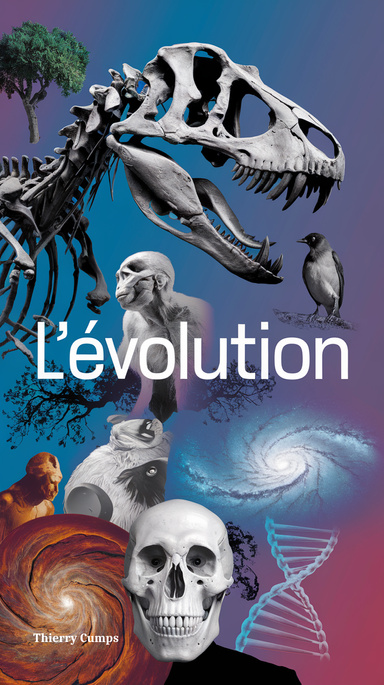 L'évolution