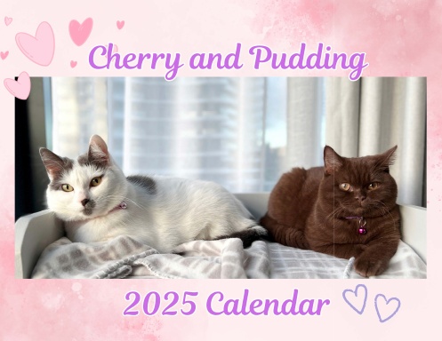 Cherry and Pudding 2025 Calendar
