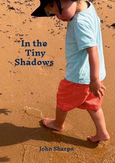 In the Tiny Shadows