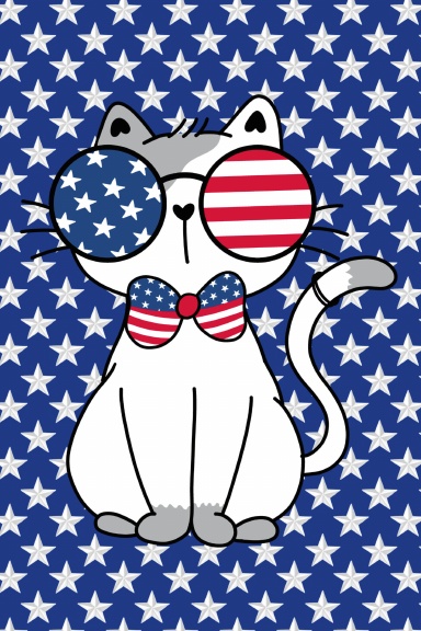 Patriotic Cool Kitty Journal
