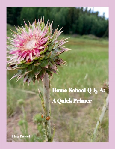 Home School Q & A:  A Quick Primer
