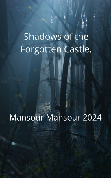 Shadows of Forgotten Castle