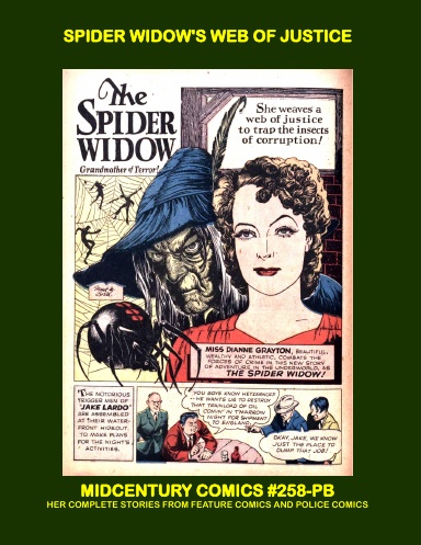 Spider Widow's Web Of Justice (PB)
