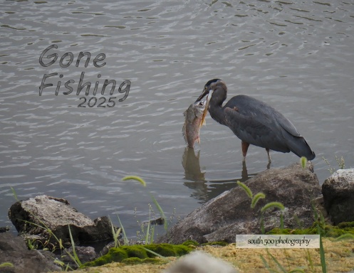 Gone Fishing
