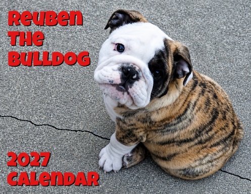 Reuben the Bulldog 2027 Calendar
