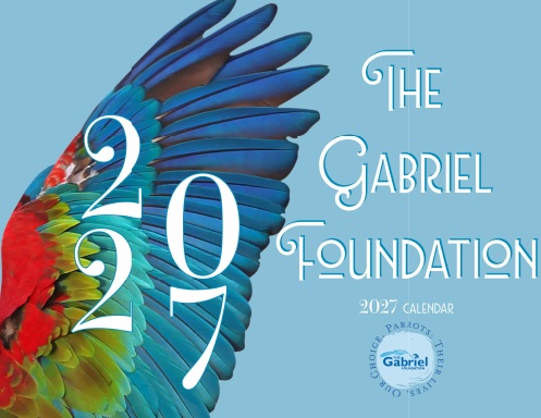 The Gabriel Foundation Calendar 2027