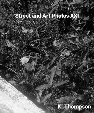 Street and Art Photos XXI