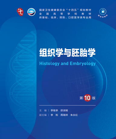 《组织学与胚胎学（第10版）》