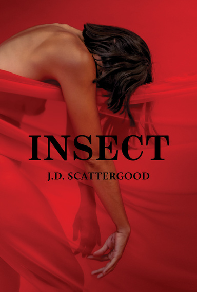 Insect