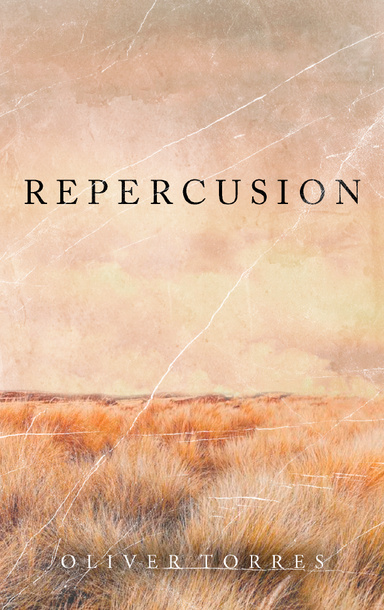 REPERCUSION
