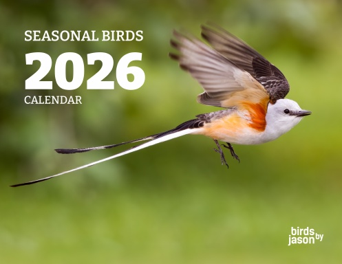 Birds by Jason : Seasonal Birds 2026 Calendar