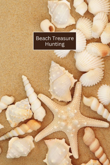 Beach Treasure Hunting Book