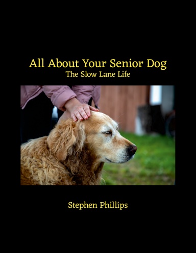 All About Your Senior Dog