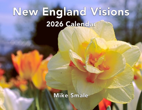New England Visions