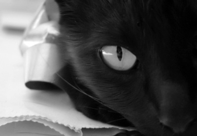 BLACK HOLINESS