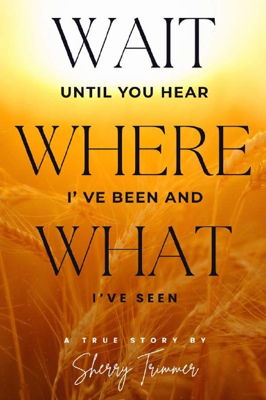 Wait Until You Hear Where I've Been And What I've Seen