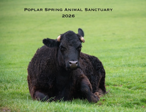 Poplar Spring Animal Sanctuary 2026