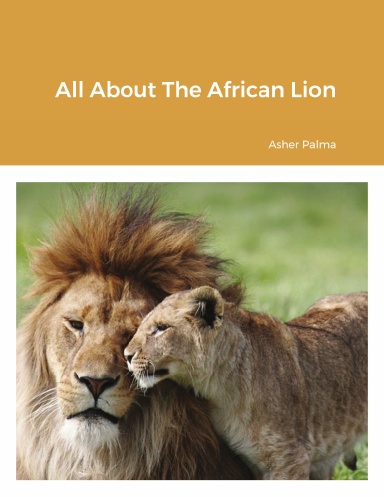 All About The African Lion