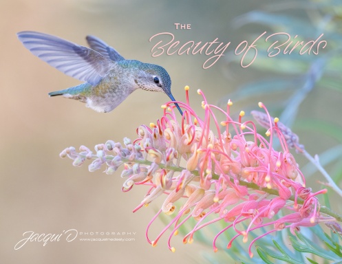 The Beauty of Birds 2021 Calendar