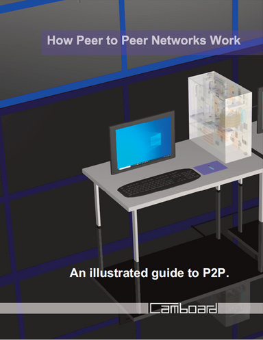 How Peer to Peer Networks Work