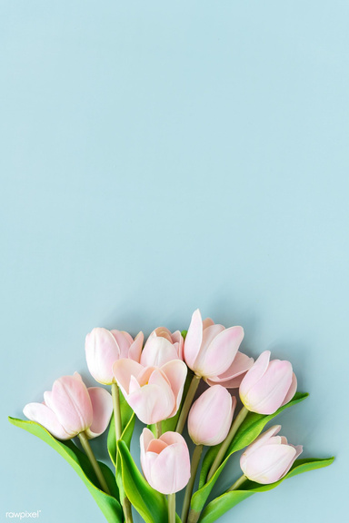 Pink Tulip Journal