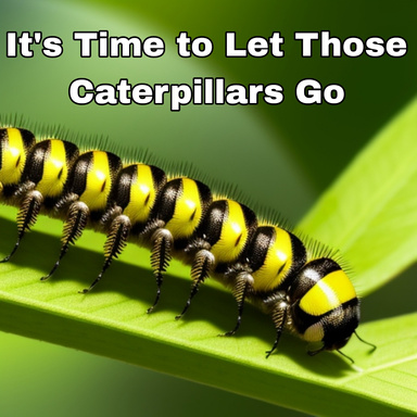 It's Time to Let Those Caterpillars Go