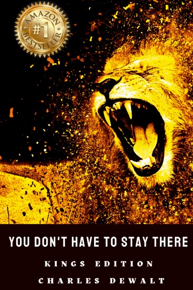 You Don't Have to Stay There - Charles DeWalt
