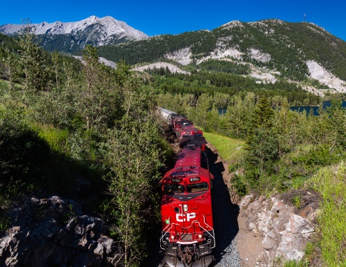 Steel Wheels 2023