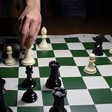 Chess sport book