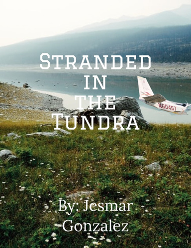 Stranded in the Tundra