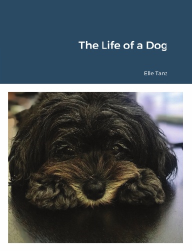 The Life of a Dog