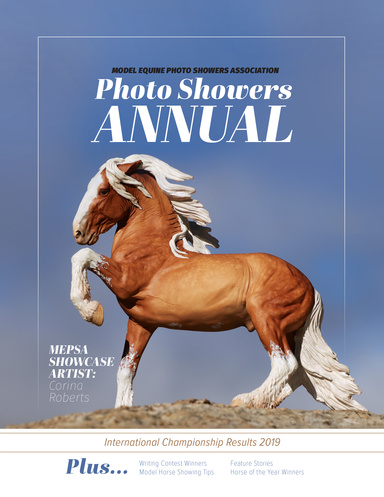 MEPSA 2019 Championship Results