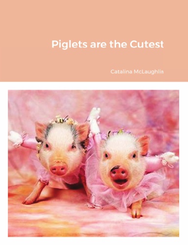 Piglets are the Cutest