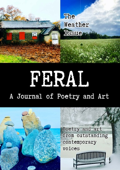 FERAL: A Journal of Poetry and Art. Issue Seven: April 2021. The Weather Issue.
